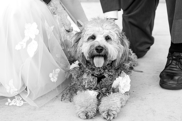 M&Jwedding-521