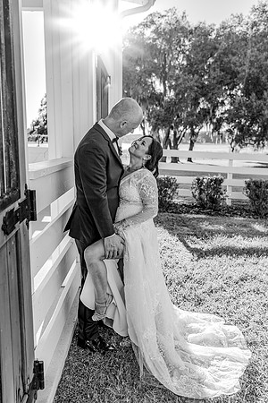 wedding-503