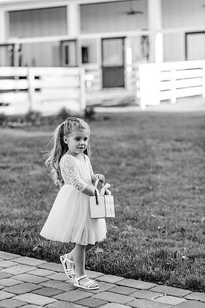 wedding-531