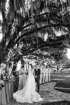 wedding-582
