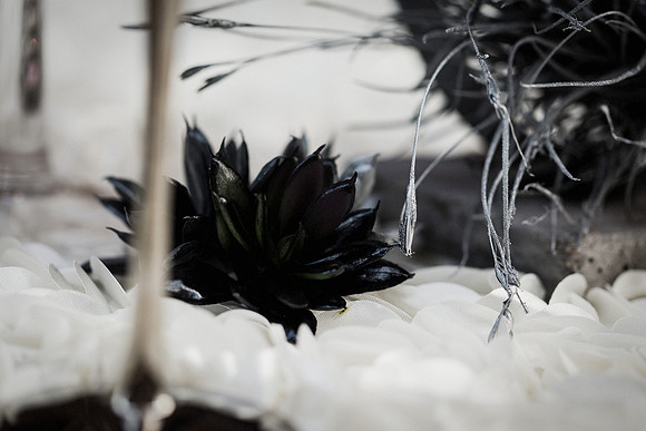 Urban Elegance-33