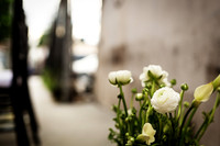 Urban Elegance-8