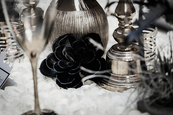Urban Elegance-34