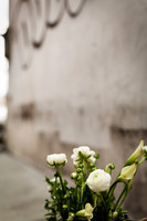 Urban Elegance-7