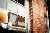 Urban Elegance-10