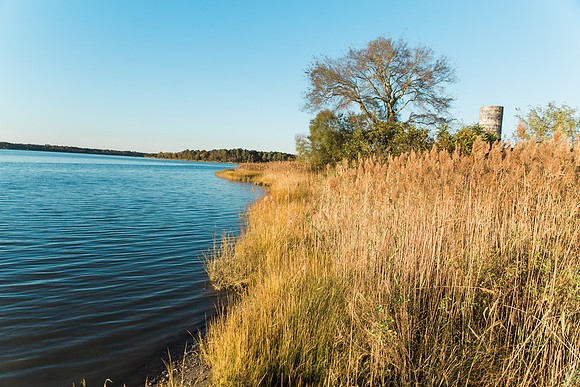 Virginia Coastal Wedding