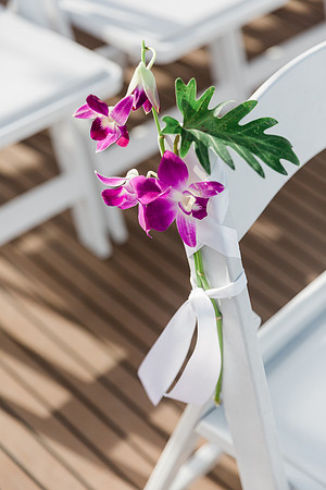wedding-591