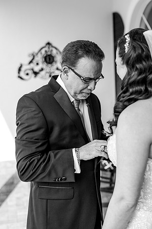 wedding (163 of 1462)