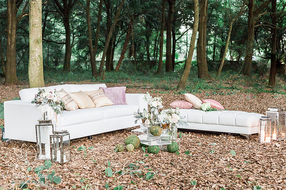 Woodland-227