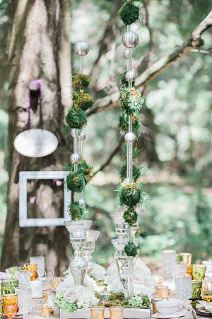 Woodland-131