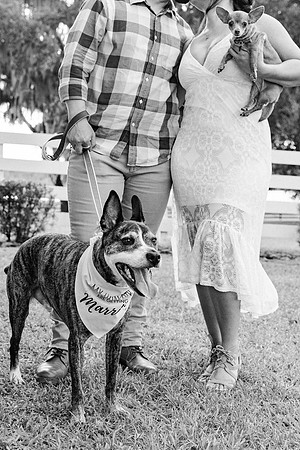 engagement-78