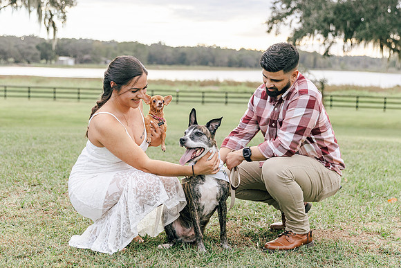 engagement-24