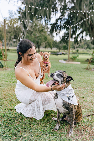 engagement-21