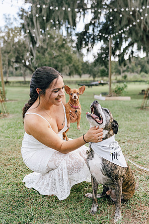engagement-20