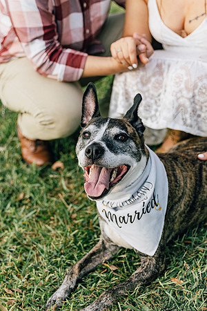 engagement-69