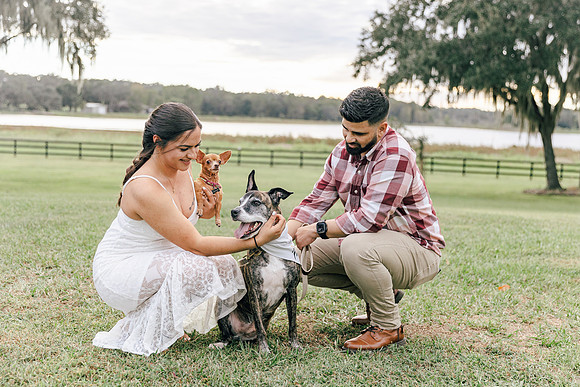 engagement-23