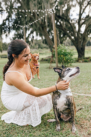 engagement-19