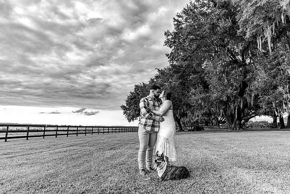 engagement-65