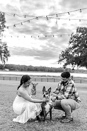 engagement-26