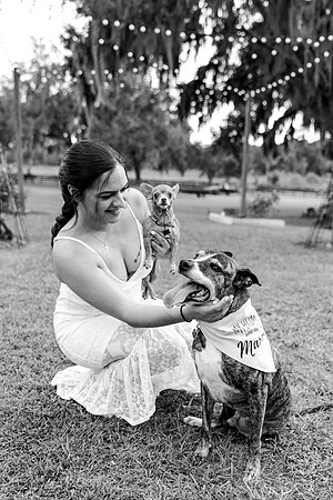 engagement-22