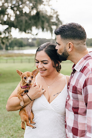 engagement-12