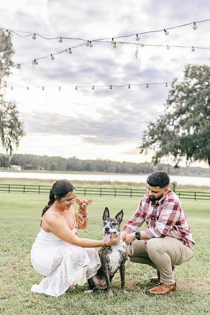 engagement-25