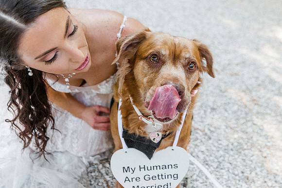 wedding-205