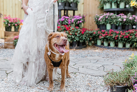 wedding-230