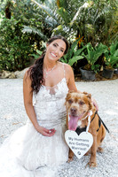 wedding-192
