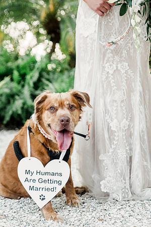 wedding-699