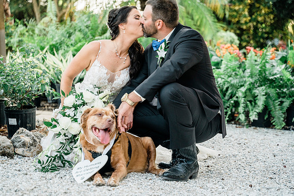 wedding-719