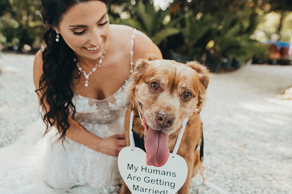 wedding-207