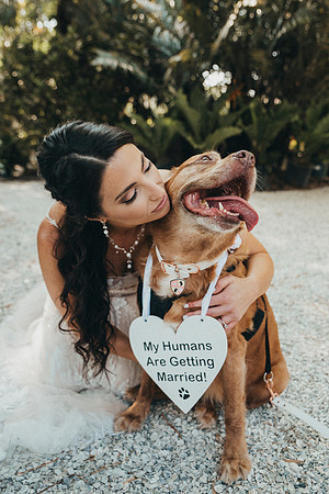 wedding-215