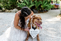 wedding-197