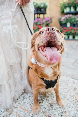 wedding-233