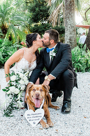 wedding-717