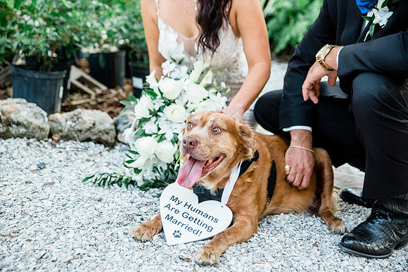 wedding-721