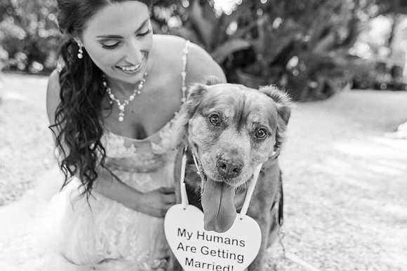 wedding-208