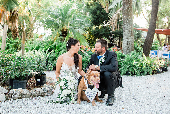wedding-722