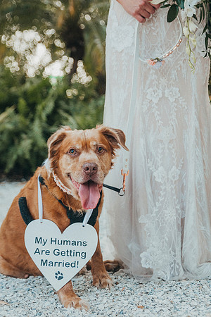 wedding-700