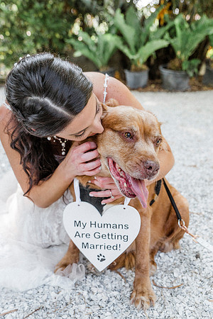 wedding-210