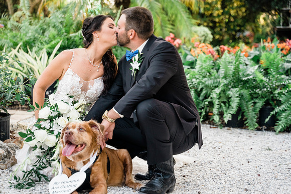 wedding-710