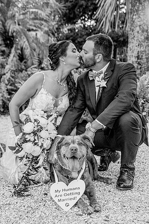 wedding-715