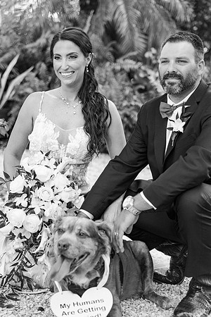 wedding-704