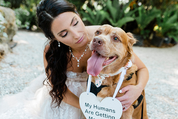 wedding-212