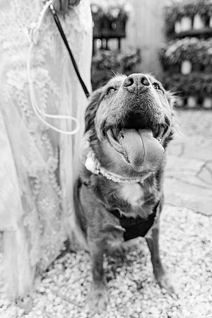 wedding-234