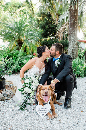 wedding-716