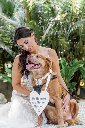 wedding-221