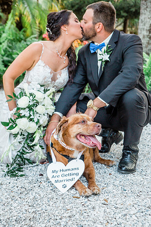 wedding-709
