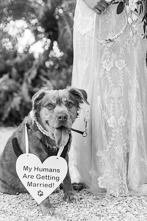 wedding-701